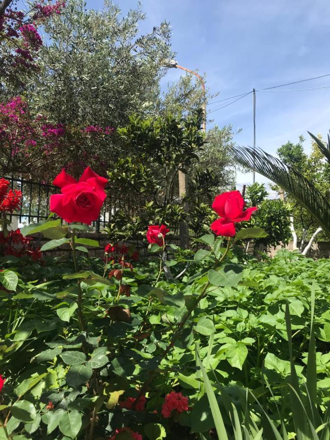 קסאמיל Vita Apartment - Spacious Garden And Balcony 5 Min To Beach & Center מראה חיצוני תמונה