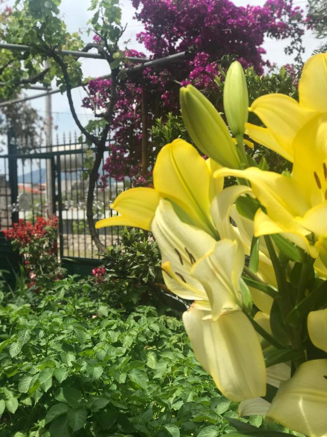 קסאמיל Vita Apartment - Spacious Garden And Balcony 5 Min To Beach & Center מראה חיצוני תמונה