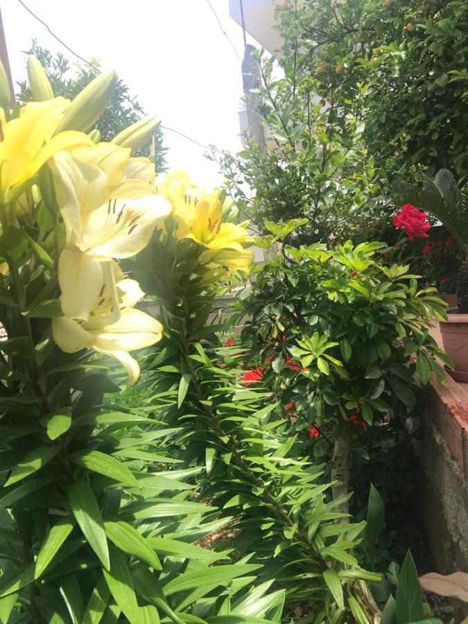 קסאמיל Vita Apartment - Spacious Garden And Balcony 5 Min To Beach & Center מראה חיצוני תמונה