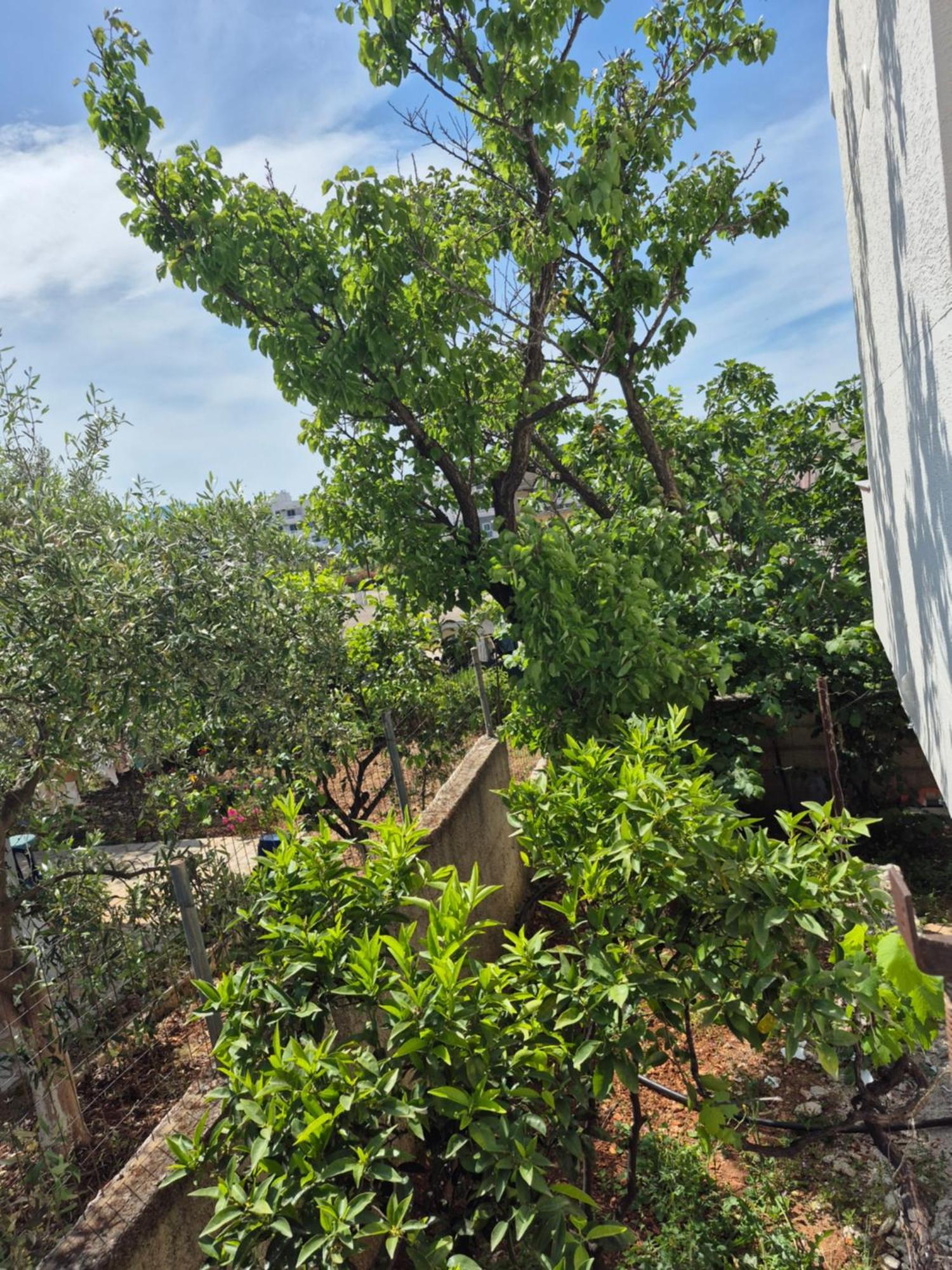קסאמיל Vita Apartment - Spacious Garden And Balcony 5 Min To Beach & Center מראה חיצוני תמונה