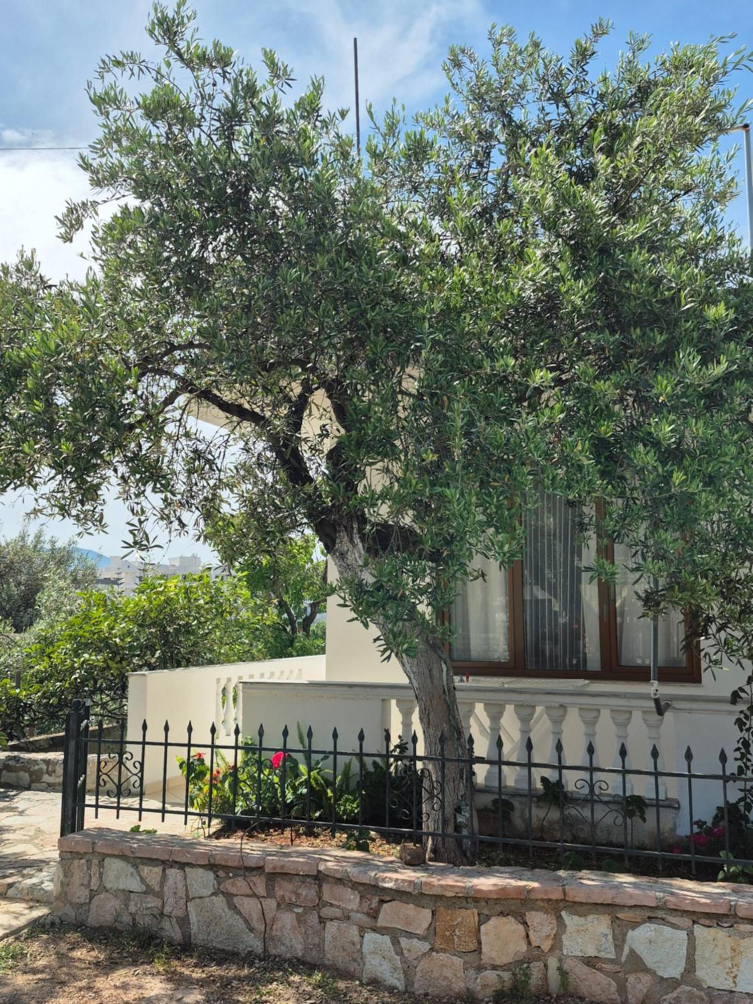 קסאמיל Vita Apartment - Spacious Garden And Balcony 5 Min To Beach & Center מראה חיצוני תמונה
