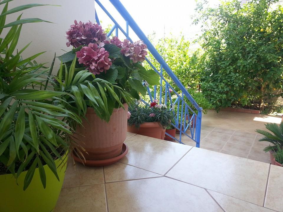 קסאמיל Vita Apartment - Spacious Garden And Balcony 5 Min To Beach & Center מראה חיצוני תמונה